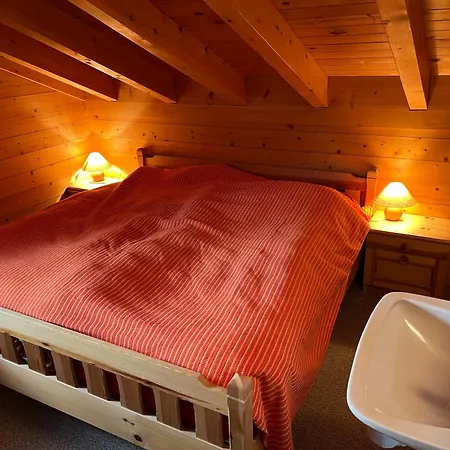 Am Baergbaechli Og Apartman Bellwald