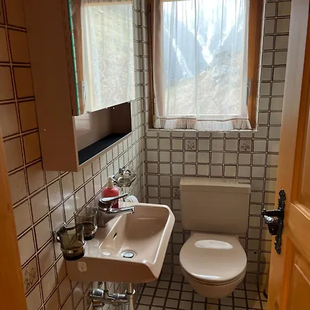 Am Baergbaechli Og Apartman Bellwald